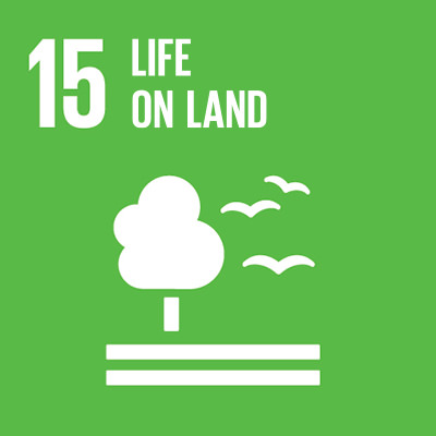 SDG 2